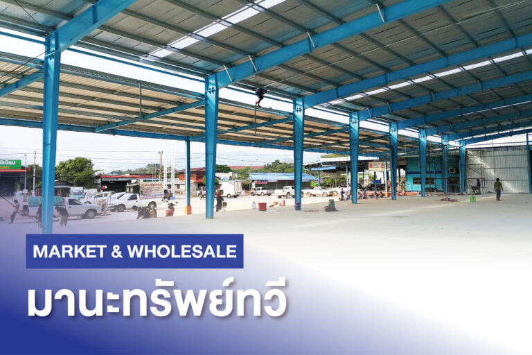 IYARA WANICH Projects