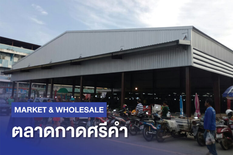 IYARA WANICH Projects