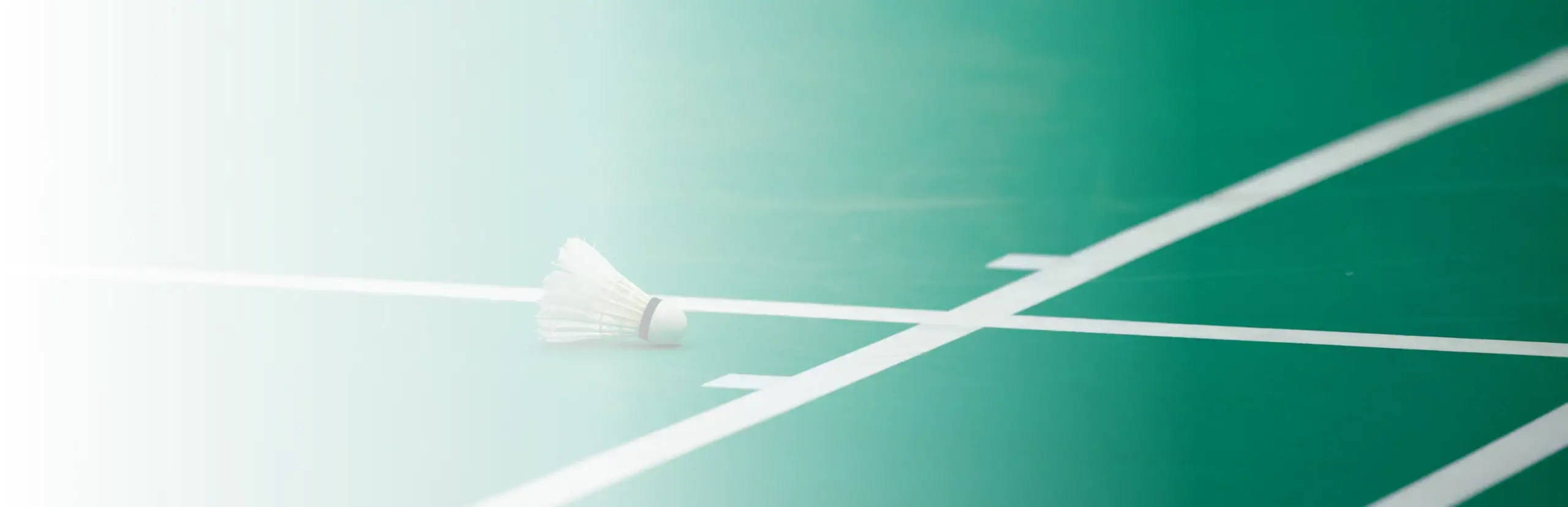 PVC Flooring Iyarawanich